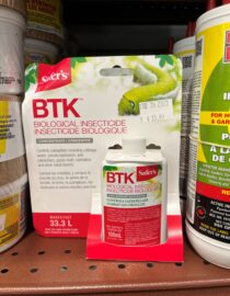 Safer's BTK biological insecticide